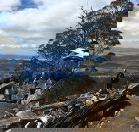 kunanyi / Mt Wellington Explorer Bus - 2 Hour Return Tour - Events Australia