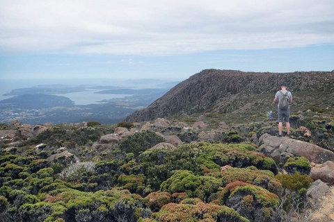 Kunanyi / Mt Wellington Explorer Bus - 2 Hour Return Tour - Events Australia 3