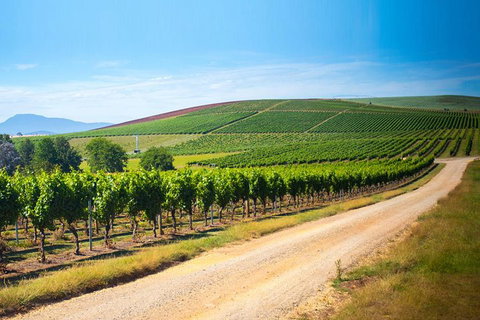 Full Day Tamar Valley Wine Tour - Events Australia 1