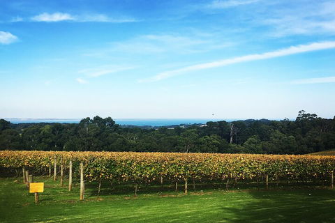 Mornington Peninsula Tour Inc Chairlift,beach Boxes,lunch,choc Tasting And More - Events Australia 2