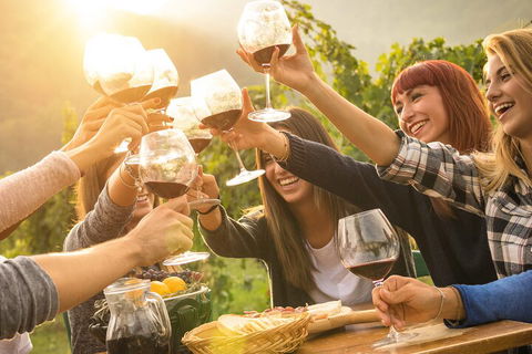 Mornington Peninsula Tour Inc Chairlift,beach Boxes,lunch,choc Tasting And More - Events Australia 3