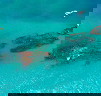 Private Tangalooma Wrecks Tour - Events Australia