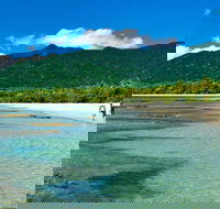 5-Day Best of Cairns with Daintree Kuranda and Great Barrier Reef - Events Australia