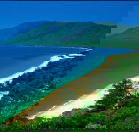 Cairns Reef and Rainforest Combo Daintree Rainforest and the Great Barrier Reef - Events Australia