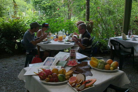Cairns Reef And Rainforest Combo: Daintree Rainforest And The Great Barrier Reef - Accommodation Europe 3