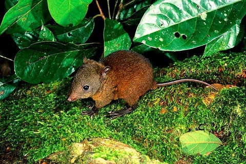 3-Day Small-Group Tour Of North Queensland With Pick Up - Tourism Bookings 0