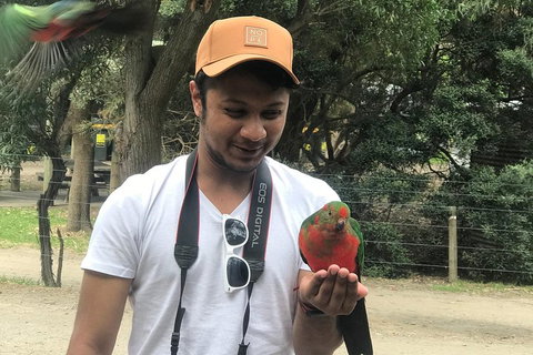 Full-Day Great Ocean Road Small-Group Tour From Melbourne - Tourism Bookings 0