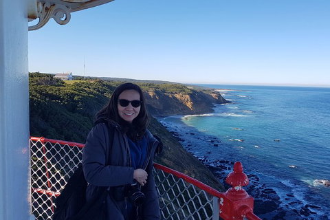 Great Ocean Road Full Day Private Experience - Tourism Bookings 1