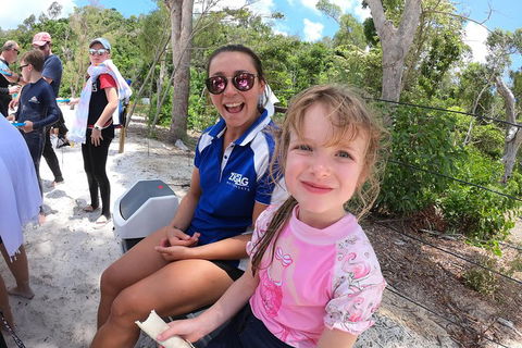 Whitehaven Beach Day Tour With Snorkel In Whitsundays Island - Events Australia 1