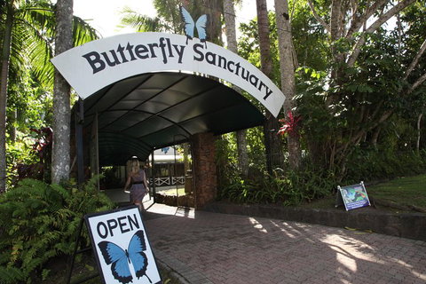 Kuranda Day Trip From Port Douglas Upgrade To Skyrail & Scenic Train Available - Events Australia 0