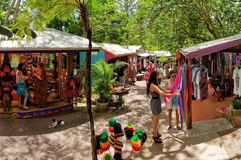 Kuranda Day Trip From Port Douglas Upgrade To Skyrail & Scenic Train Available - Events Australia 2