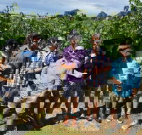 Adelaide Hills and Hahndorf - Half Day Private Tour - Events Australia