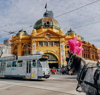 Melbourne. Laneways and Alleyways - Tourism Bookings