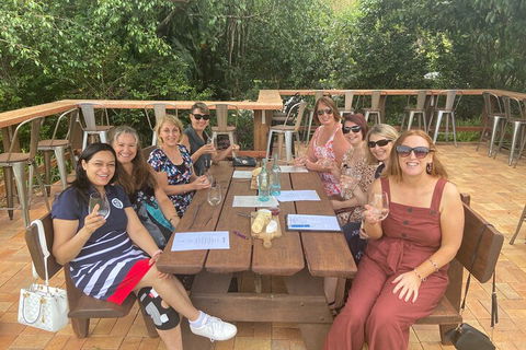 Mt Tamborine ScenicRim Deluxe Wine Tasting And Sightseeeing Tour - Events Australia 2
