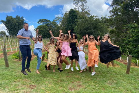 Mt Tamborine ScenicRim Deluxe Wine Tasting And Sightseeeing Tour - Events Australia 4