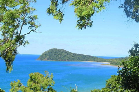 Full Day Tour In The Daintree - Accommodation Europe 1