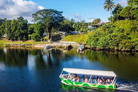 Full Day Tour In The Daintree - Accommodation Europe 2