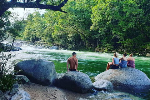 Full Day Tour In The Daintree - Accommodation Europe 3