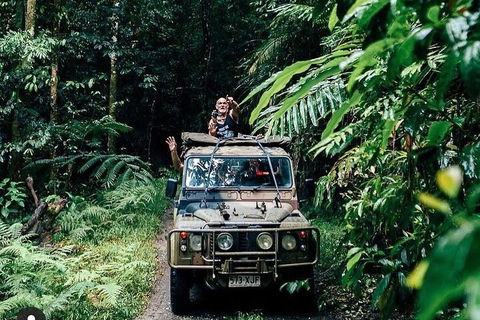 Full Day Tour In The Daintree - Accommodation Europe 4