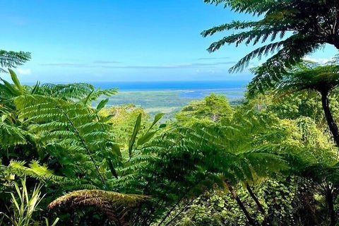 Full Day Tour In The Daintree - Accommodation Europe 5