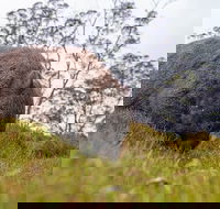 3-Day Cradle Mountain Photography Workshop - Events Australia