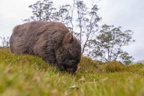 3-Day Cradle Mountain Photography Workshop - Events Australia 0