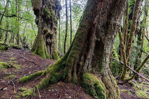 3-Day Cradle Mountain Photography Workshop - Events Australia 1