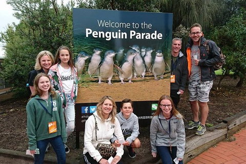 Phillip Island Medium Size Group Tour - Events Australia 5