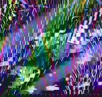 Infinity Attraction - Admission - Events Australia