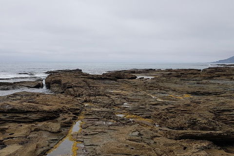 Luxury Private Great Ocean Road Tour Up To 11 People - Entire Vehicle - Events Australia 1