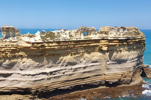 Luxury Private Great Ocean Road Tour Up To 11 People - Entire Vehicle - Events Australia 4