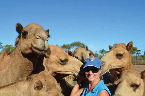 Broome Pre-sunset Camel Tour 30 Minutes - Events Australia 0