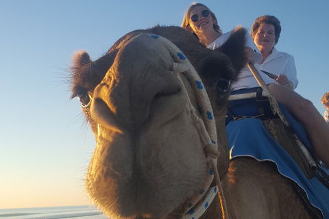 Broome Pre-sunset Camel Tour 30 Minutes - Events Australia 1