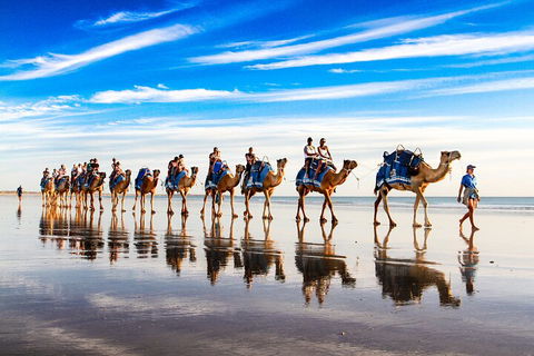 Broome Pre-sunset Camel Tour 30 Minutes - Events Australia 2
