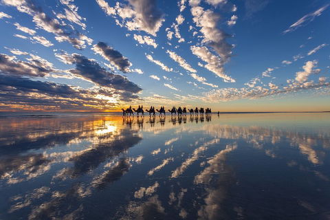 Broome Pre-sunset Camel Tour 30 Minutes - Events Australia 4