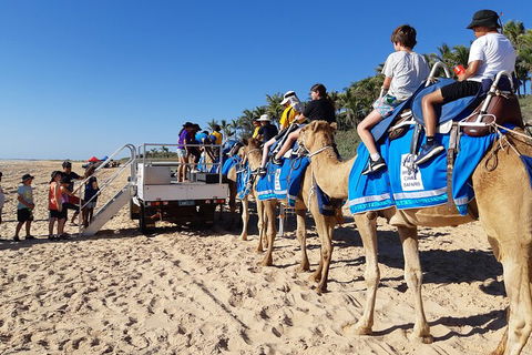 Broome Pre-sunset Camel Tour 30 Minutes - Events Australia 5