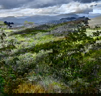 3-Day Tour to the Falls Mountains Lake  More of West Coast Tasmania - Events Australia