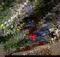 5-Day Lap of Tasmania Tour from Hobart flexible ticket - Events Australia