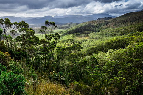 5-Day Lap Of Tasmania Tour From Hobart (flexible Ticket) - Accommodation Europe 2