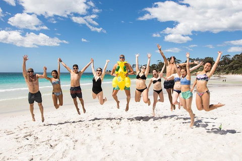 5-Day Lap Of Tasmania Tour From Hobart (flexible Ticket) - Accommodation Europe 4