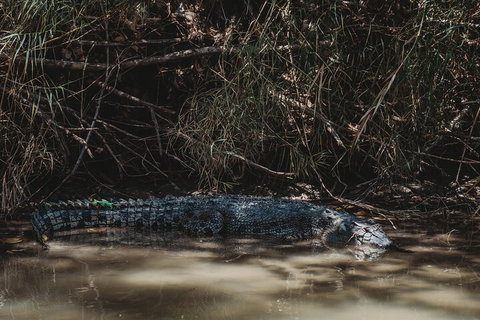 Kakadu Full-Day Tour From Darwin With Lunch - Events Australia 4
