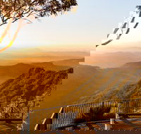 O'Reilly's  Lamington National Park incl. Alpaca Farm  Vineyard - Events Australia