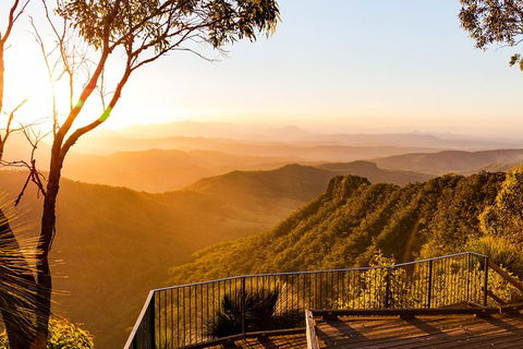 O'Reilly's & Lamington National Park Incl. Alpaca Farm + Vineyard - Events Australia 0
