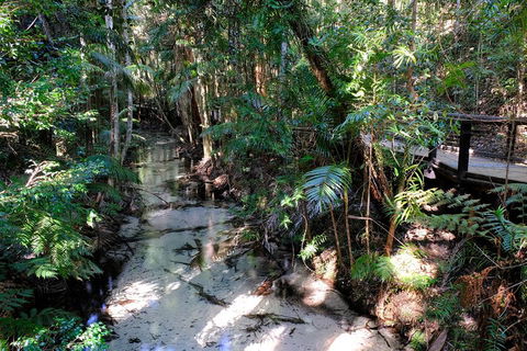 Fraser Island 4WD Tour From Rainbow Beach - Events Australia 0