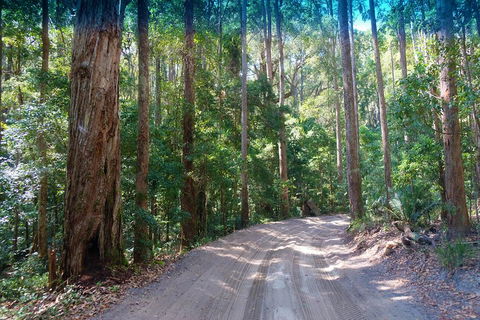 Fraser Island 4WD Tour From Rainbow Beach - Events Australia 4