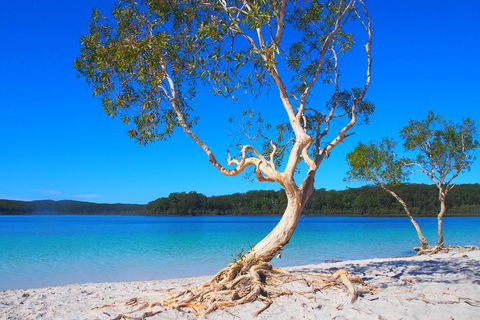 Fraser Island 4WD Tour From Rainbow Beach - Events Australia 5