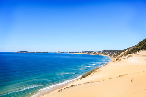 Kayak With Dolphins And 4WD Great Beach Drive Day Trip From Noosa - Events Australia 0