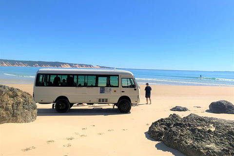 Kayak With Dolphins And 4WD Great Beach Drive Day Trip From Noosa - Events Australia 4