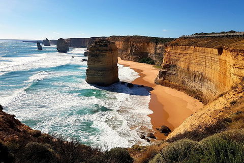 Helicopter Flight + Fine Dining Private Luxury Great Ocean Road Tour - Events Australia 4