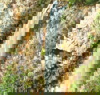 Private Tour - Rainforest  Waterfalls Extravaganza - Events Australia